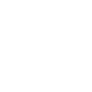 Icon Sisterhood