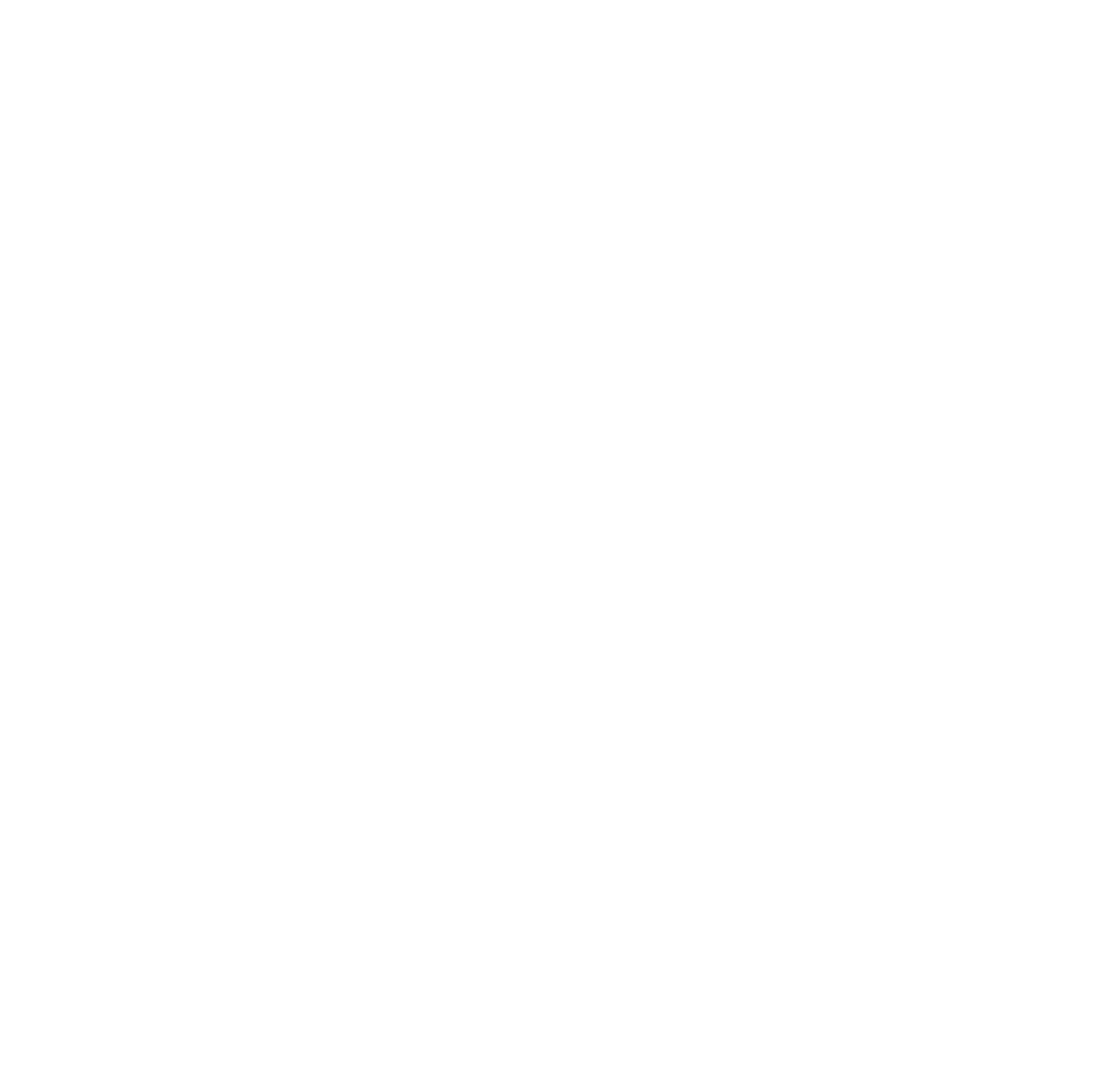 Echo Icon White