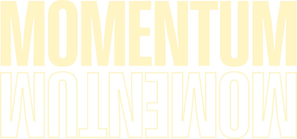 MOMEMNTUM 15