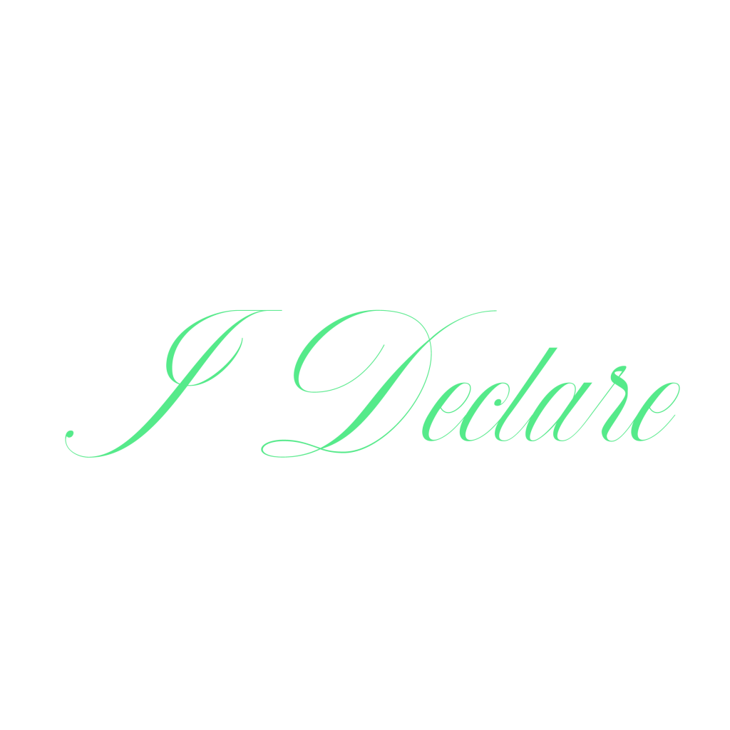 IDECLAR 01